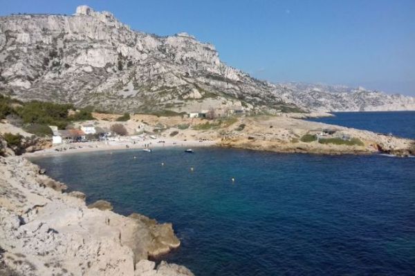 La protección de la posidonia: entre el derecho, el medio ambiente y las contradicciones